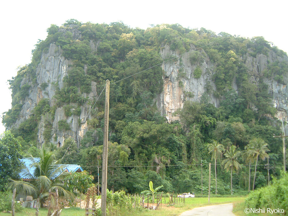 洞窟の寺があるタナーン岩（2004年3月）